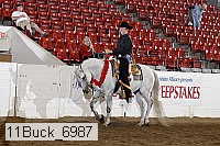 11buck_6987 proof
