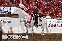 11buck_6988 proof