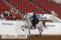 11buck_6995 proof