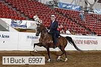 11buck_6997 proof