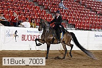 11buck_7003 proof