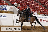 11buck_7004 proof