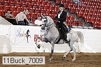 11buck_7009 proof