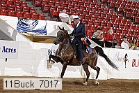 11buck_7017 proof