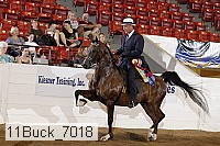 11buck_7018 proof