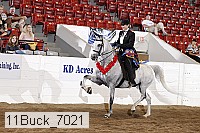 11buck_7021 proof