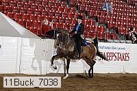 11buck_7038 proof