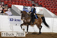11buck_7039 proof
