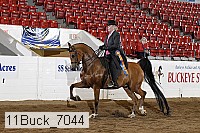 11buck_7044 proof