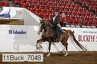 11buck_7048 proof
