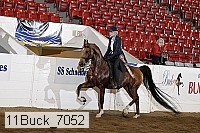 11buck_7052 proof