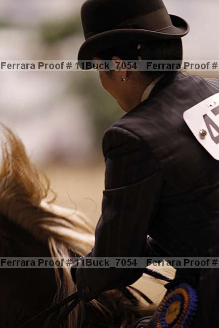 Proof 11buck_7054