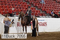 11buck_7055 proof