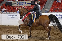 11buck_7061 proof