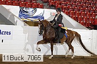 11buck_7065 proof