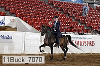 11buck_7070 proof