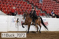 11buck_7072 proof