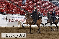11buck_7073 proof