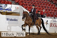 11buck_7076 proof