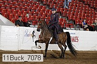 11buck_7078 proof