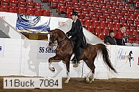 11buck_7084 proof