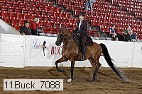 11buck_7088 proof