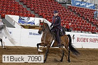 11buck_7090 proof