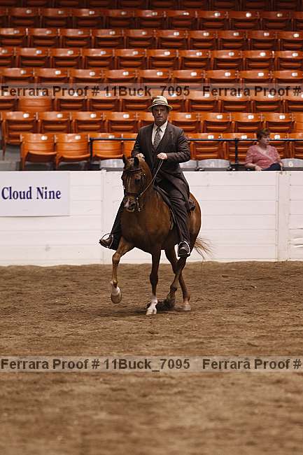 Proof 11buck_7095