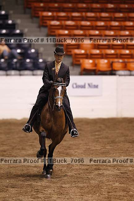 Proof 11buck_7096