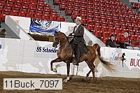 11buck_7097 proof