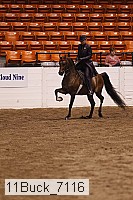 11buck_7116 proof