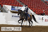 11buck_7118 proof