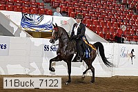 11buck_7122 proof