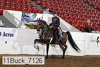 11buck_7126 proof