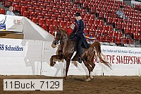 11buck_7129 proof