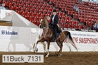 11buck_7131 proof