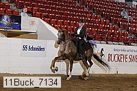 11buck_7134 proof