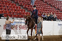 11buck_7136 proof