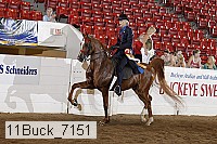 11buck_7151 proof