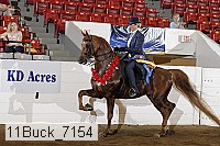 11buck_7154 proof
