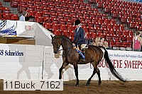 11buck_7162 proof