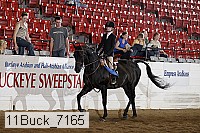 11buck_7165 proof