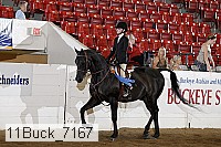 11buck_7167 proof
