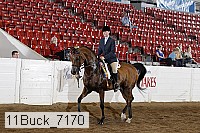 11buck_7170 proof