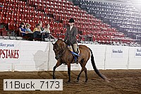 11buck_7173 proof