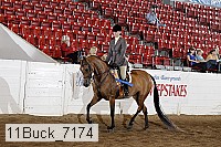 11buck_7174 proof