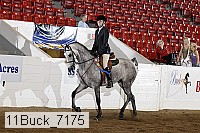 11buck_7175 proof