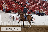 11buck_7179 proof