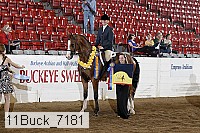 11buck_7181 proof