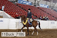 11buck_7185 proof